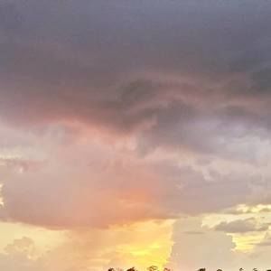 Meet your Posher, Eve